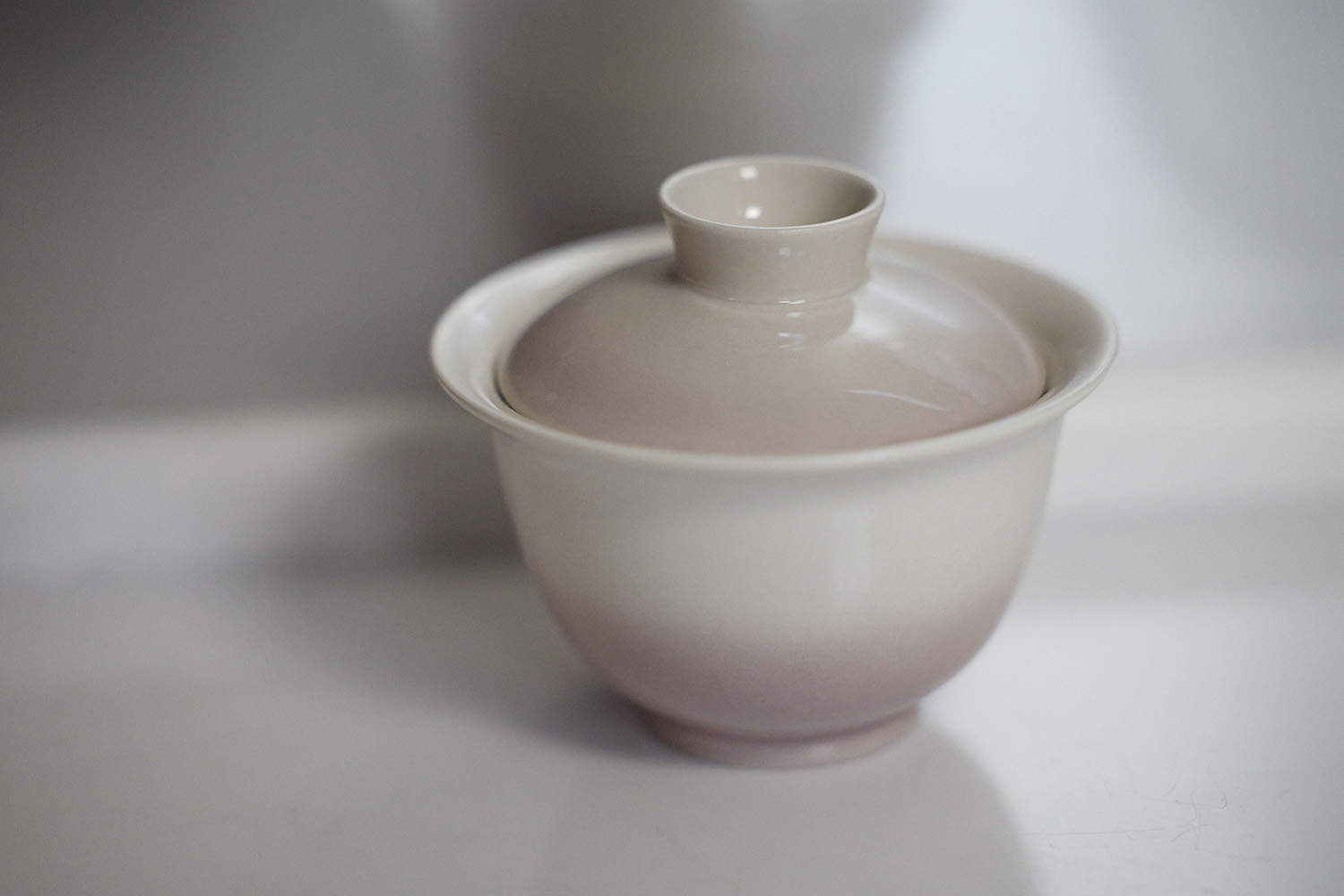 Easy Home/Travel Tea Set - gaiwan
