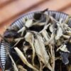 Moonlight White Tea - Bai Mu Dan - Yue Guang Bai closeup
