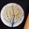 Moonlight White Tea - Bai Mu Dan - Yue Guang Bai liquor