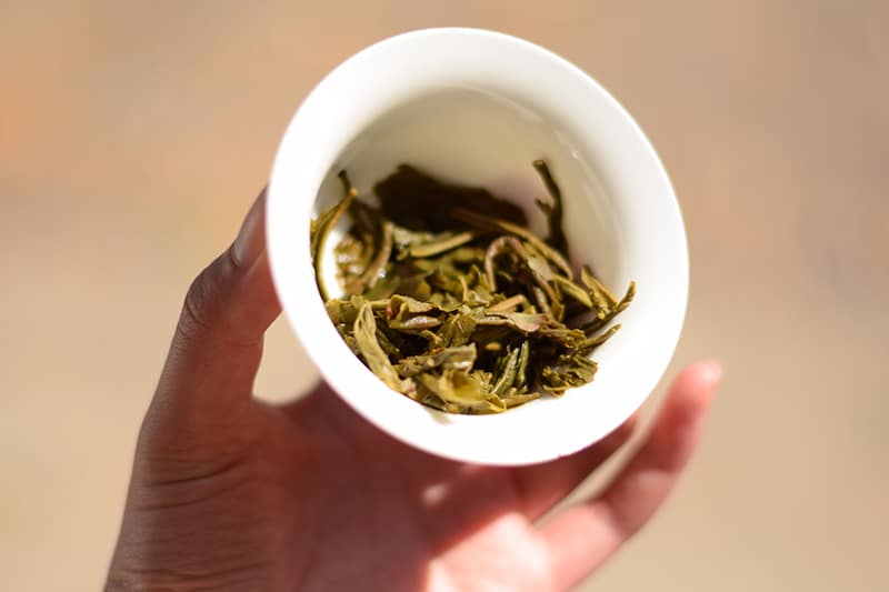 Guizhou Green Tea brewed leaves