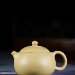 Xi Shi Hu Yixing Teapot