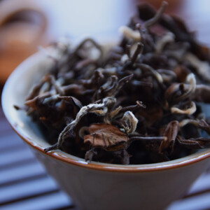 Bai Hao Oolong (Dong Feng Mei Ren) closeup